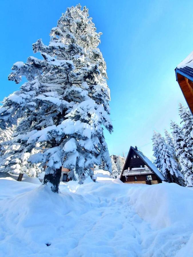 Jahorina 7Lux Apartment Exterior foto